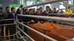 省市領(lǐng)導(dǎo)及地市州政府相關(guān)工作人員一行數(shù)十人在萬(wàn)春展位前聽取我公司柳總介紹我們的智能化養(yǎng)豬設(shè)備