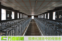 規(guī)?；B(yǎng)豬場(chǎng)設(shè)備終末消毒方法(安全程序)